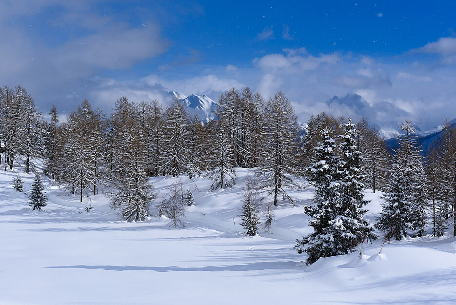 Snow landscape near Bettmeralp in the Swiss Alps