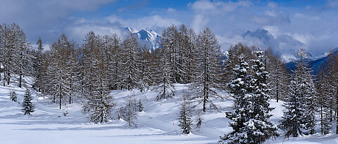 Snow landscape near Bettmeralp in the Swiss Alps